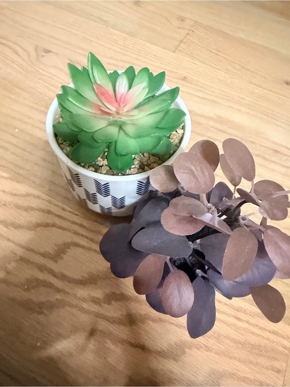 Unbranded Green & Pink Faux Succulent in Patterned White Pot